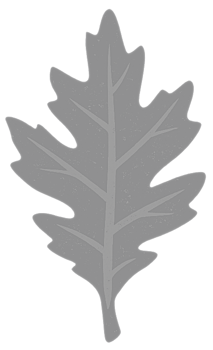 Blackgrain Supply Co.